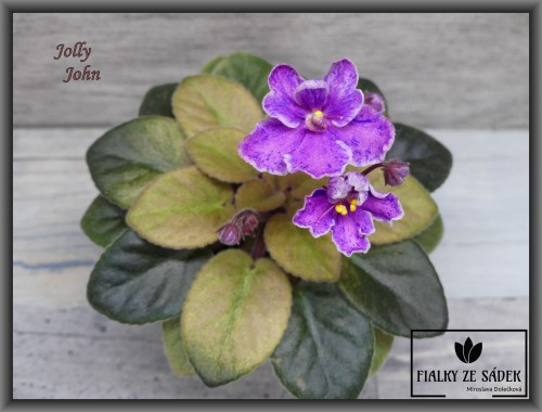 Jolly John